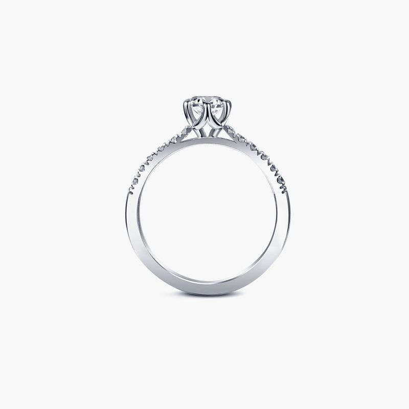 Elegance sparkle